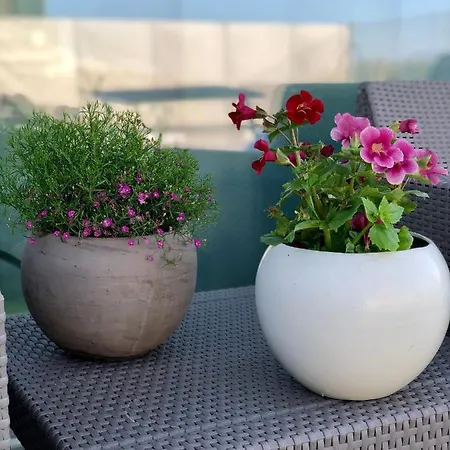 Chalet Al Mare Vila